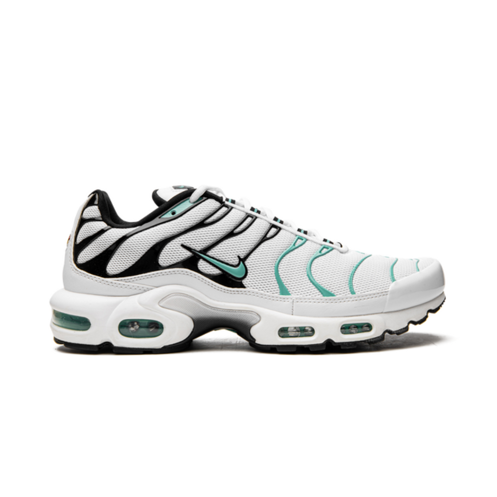 Air Max Plus Atmos