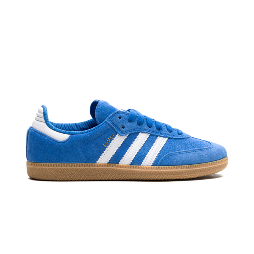 Samba Adv Blue Bird