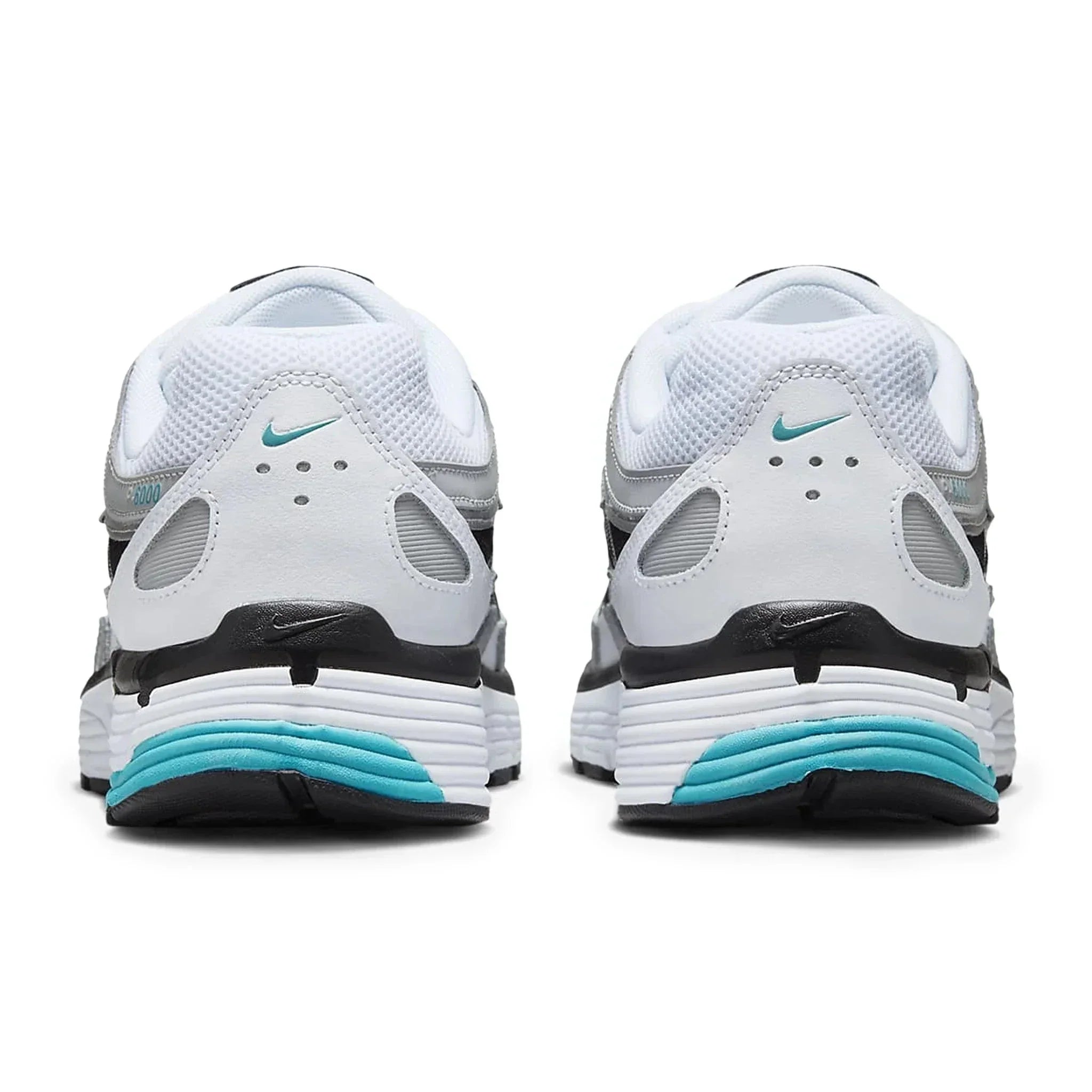 P-6000 Dusty Cactus