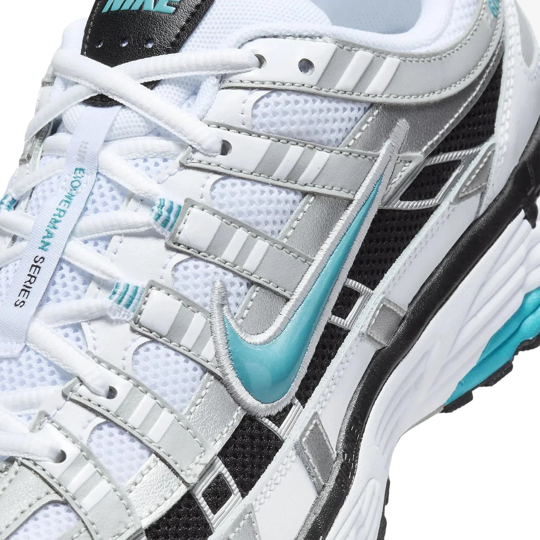 P-6000 Dusty Cactus