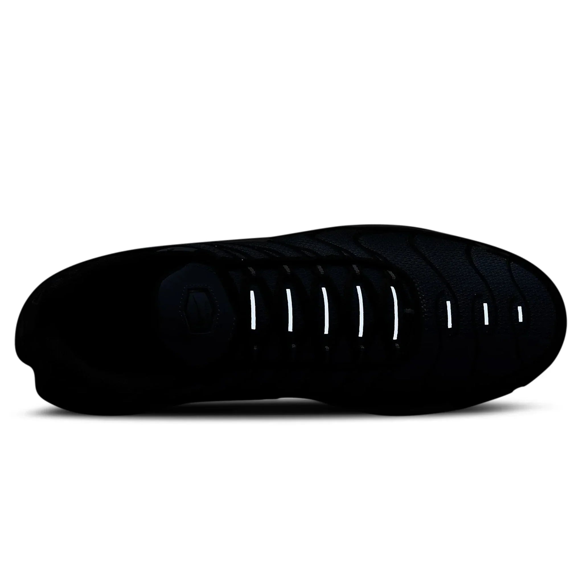 TN Air Max Plus Aquarius Blue