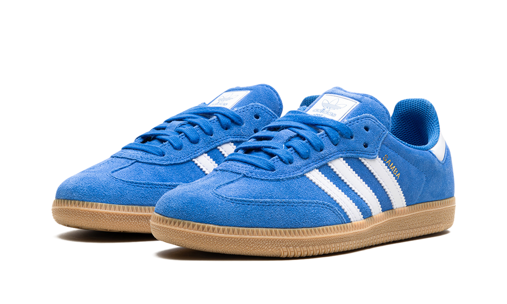 Samba Adv Blue Bird